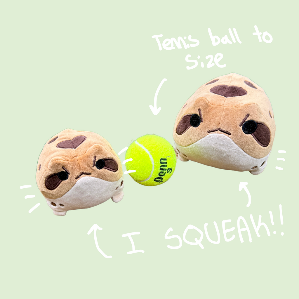 Dave the Angy Desert Rain Frog - PondHQ