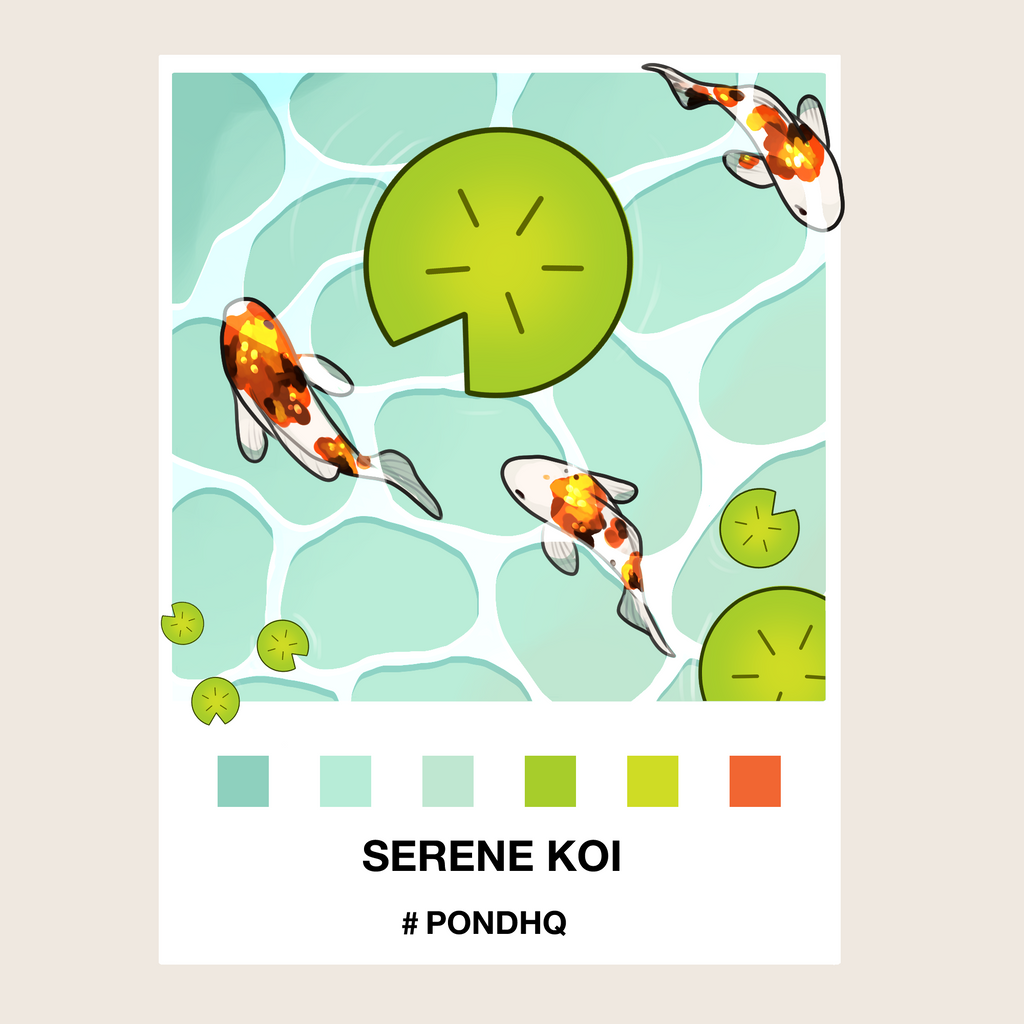 Serene Koi Print - PondHQ